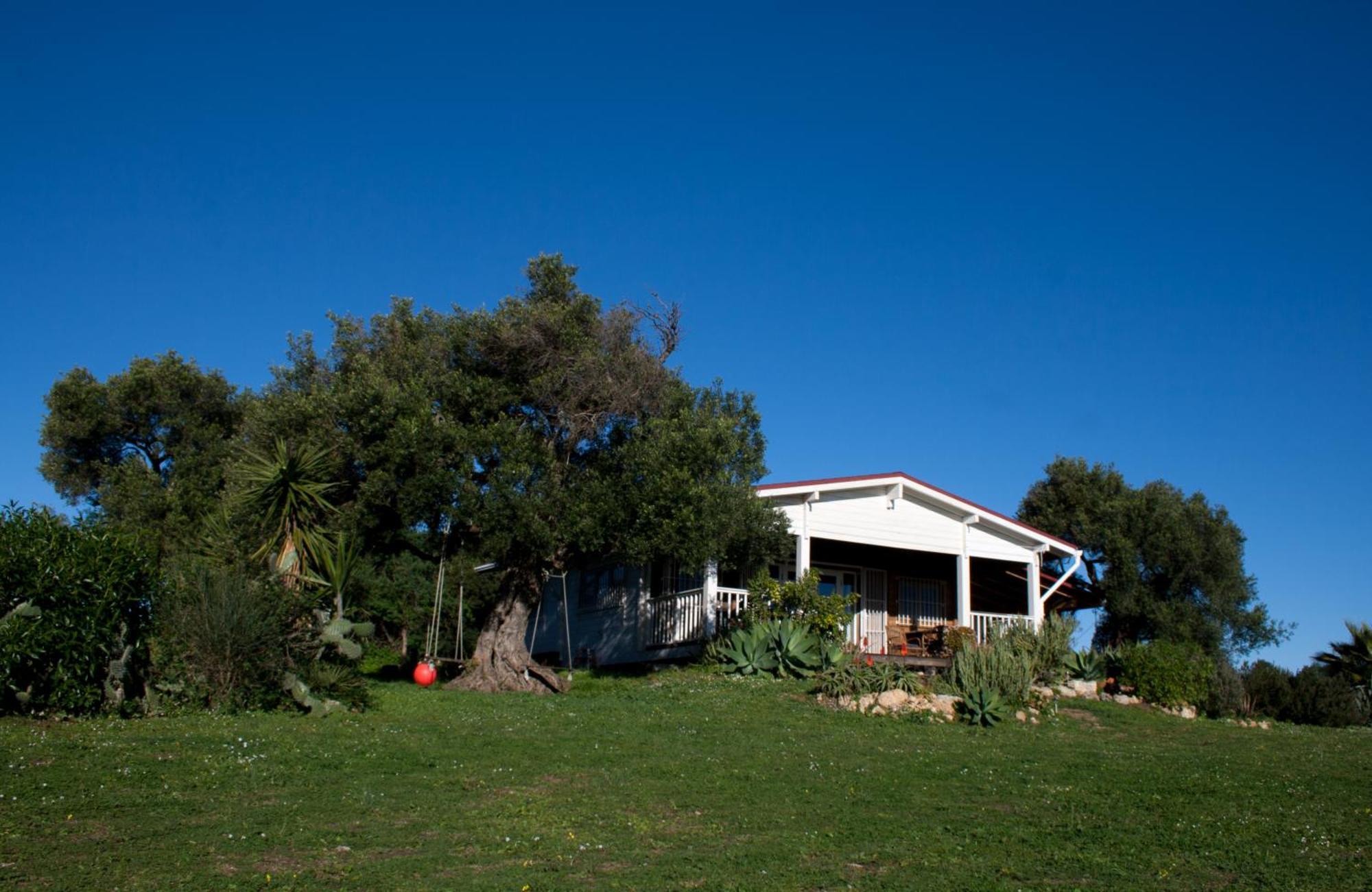 Casa Rural La Zarzamora Vejer de la Frontera Luaran gambar