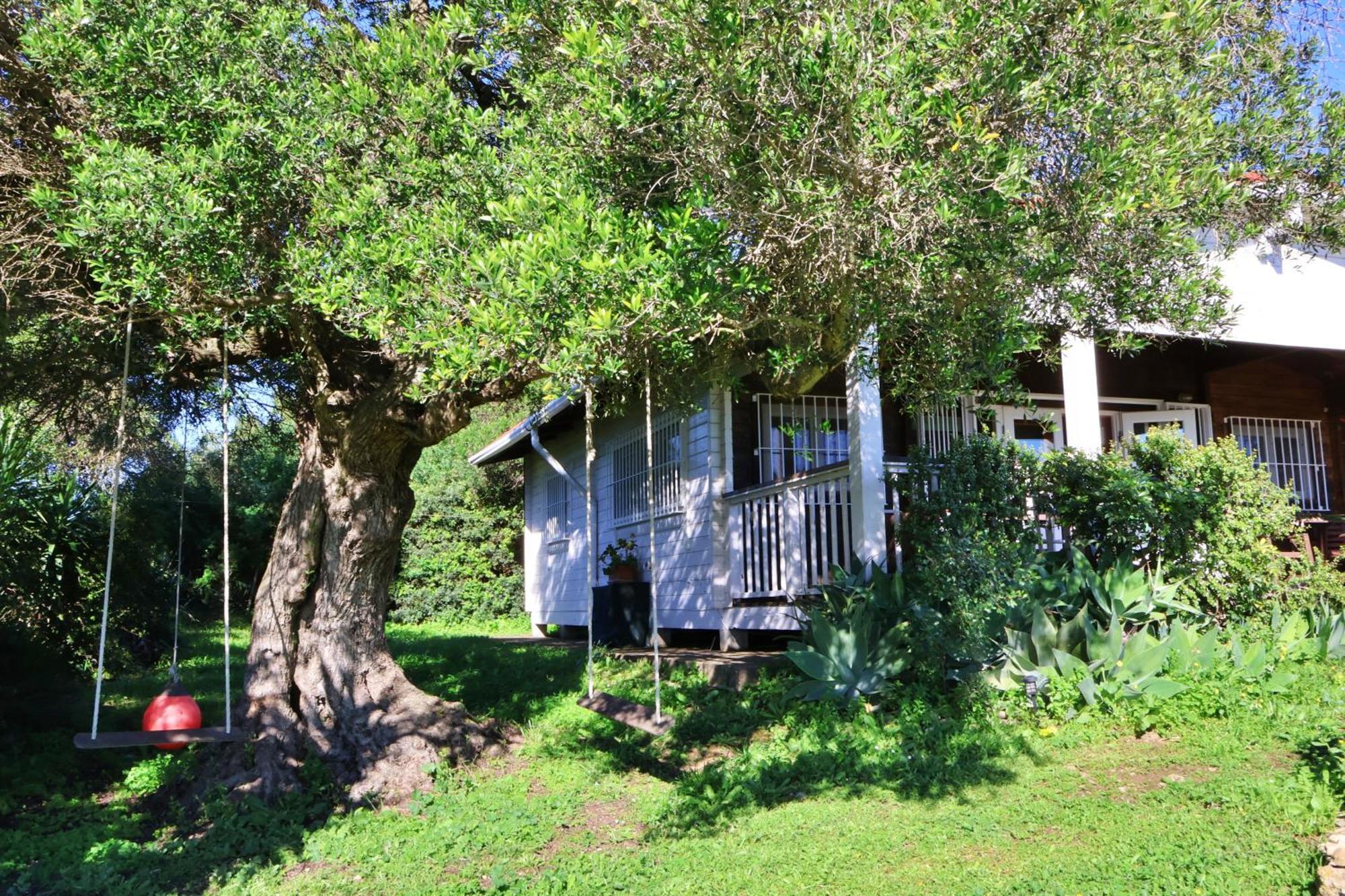 Casa Rural La Zarzamora Vejer de la Frontera Luaran gambar