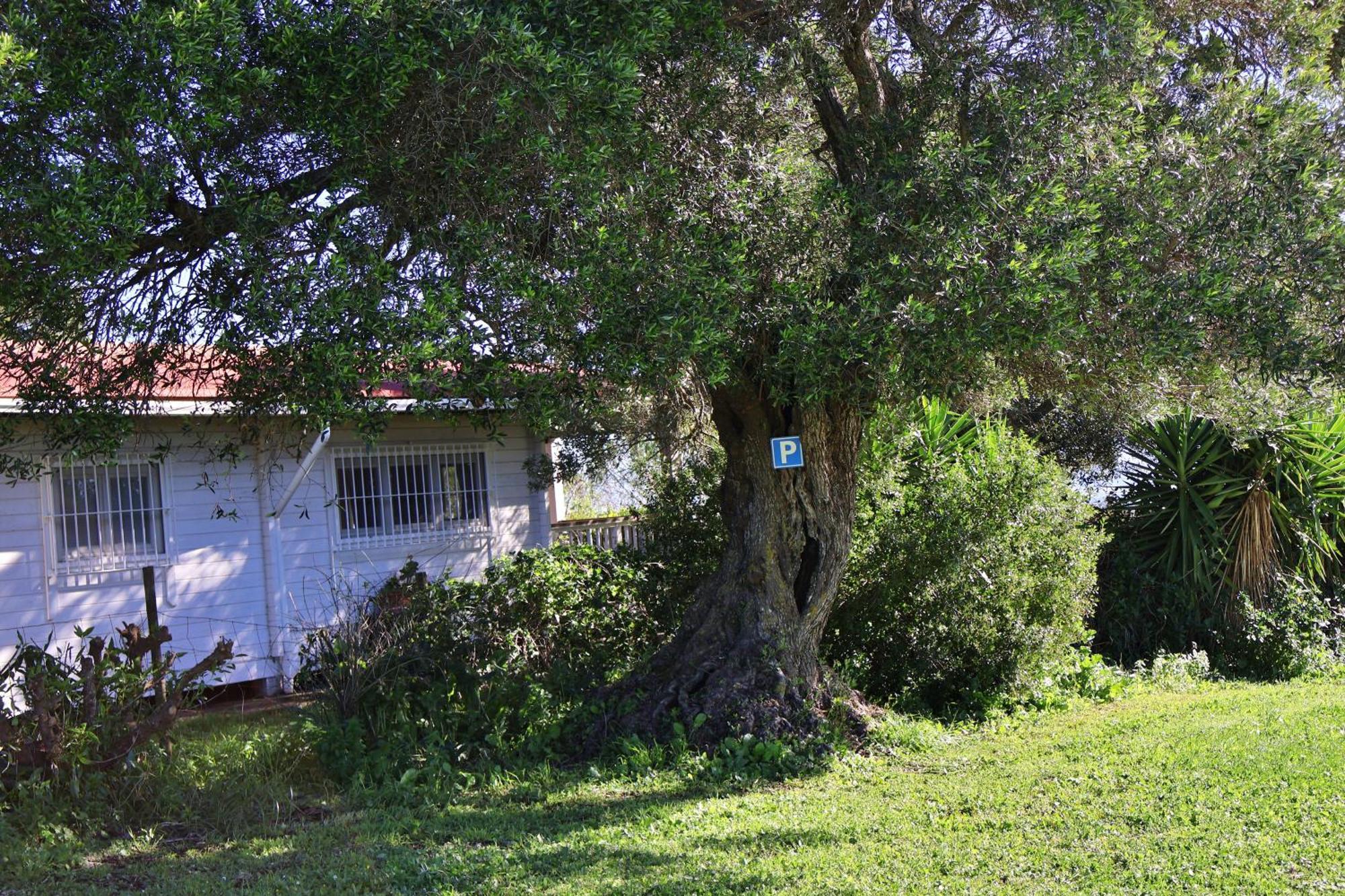 Casa Rural La Zarzamora Vejer de la Frontera Luaran gambar