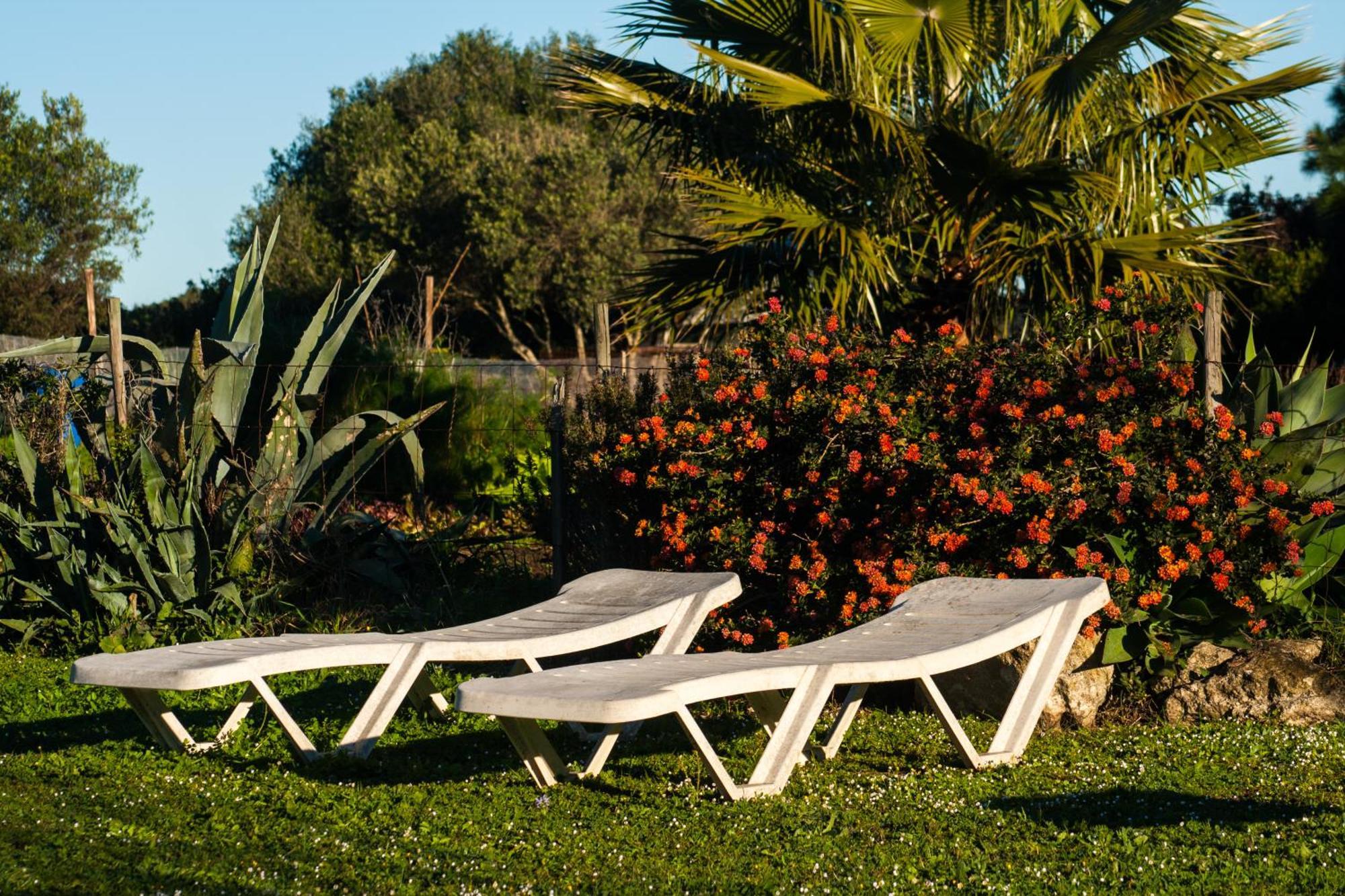 Casa Rural La Zarzamora Vejer de la Frontera Luaran gambar